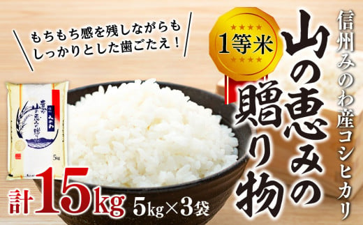 【令和6年度】信州産 コシヒカリ 1等米 「山の恵みの贈り物」 15kg（5kg×3袋） （ お米 コシヒカリ 白米 搗きたて米 低温貯蔵米 食品 )　 [№5675-1085]