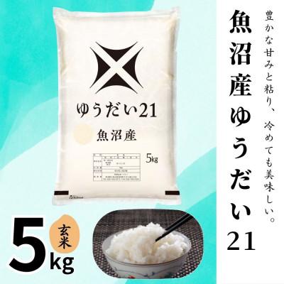 ふるさと納税 十日町市 【令和7年産】魚沼産ゆうだい21(玄米)5kg