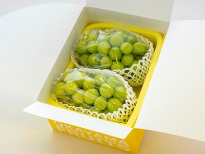 【先行予約】ご家庭用　岡山県産シャインマスカット　1.2kg（2～3房）（クール便）