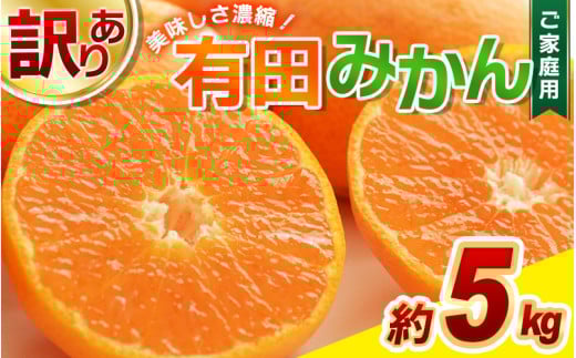【訳あり】農家直送 有田みかん 約5kg ご家庭用 サイズ混合 ※※11月中旬から1月中旬までに順次発送予定 （お届け日指定不可）※北海道・沖縄・離島への配送不可　訳ありみかん 温州みかんイズ混合 訳