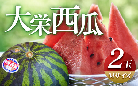 ＼2026年産先行予約／ 大栄西瓜 M ２玉  すいか ※2026年6月中旬～7月中旬頃に順次発送予定 ｜ すいか