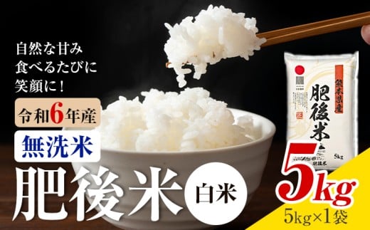 熊本県産 肥後米 無洗米 白米 5kg 1袋5kg 米 お米 令和6年産 九州産 熊本県産 送料無料【30日以内に出荷予定（土日祝除く）】 無洗米 白米 米