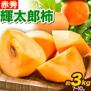 【ふるさと納税】【先行予約】輝太郎柿 3kg 7～10玉 《10月上旬-10月末頃より出荷予定》JA鳥取いなば 鳥取県 八頭町 柿 かき カキ くだもの くだもの 果物 青果物 フルーツ