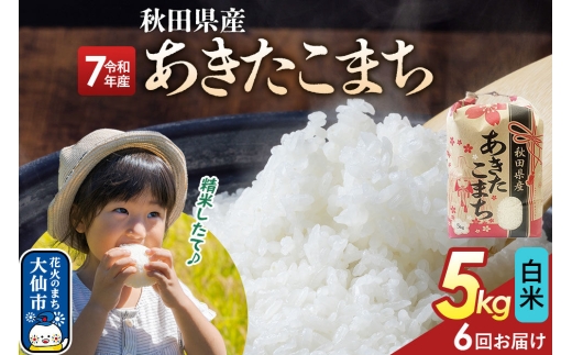 《定期便6ヶ月》【白米】あきたこまち 5kg 秋田県産 令和7年産  こまちライン 秋田県 大仙市産 [秋田 お米 米どころ あきたこまち こまちライン]