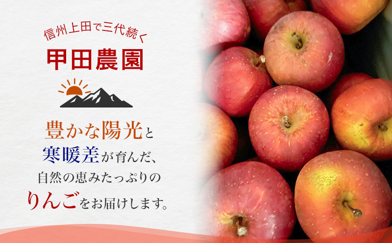 【先行予約】【訳あり・家庭用】長野県産 サンふじ 約3kg りんご リンゴ 不揃い 味は問題なし 家庭用 季節のフルーツ 果物 長野県 信州