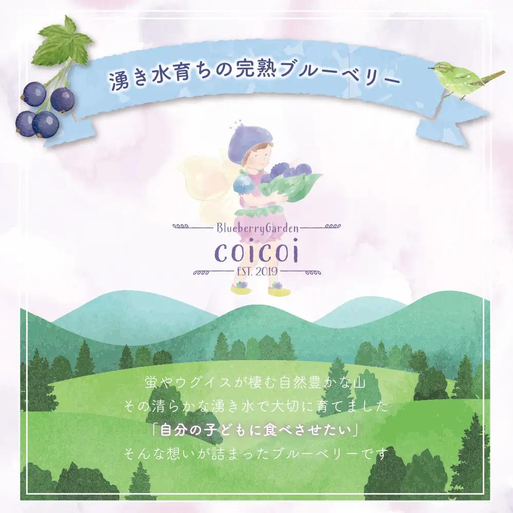 【訳あり2kg】湧き水育ちの国産冷凍ブルーベリー(500g×4パック)農家直送【ブルーベリーガーデンcoicoi/愛知県額田郡幸田町】 ※2026年6月～発送