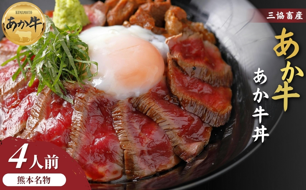 【三協畜産】熊本名物 あか牛丼セット 4人前 赤牛 牛肉 国産 簡単 お取り寄せ 冷凍 ギフト 贈り物 贈答用 豪華 おかず 手軽 ご褒美 お祝い 人気 晩ご飯 熊本県 阿蘇市