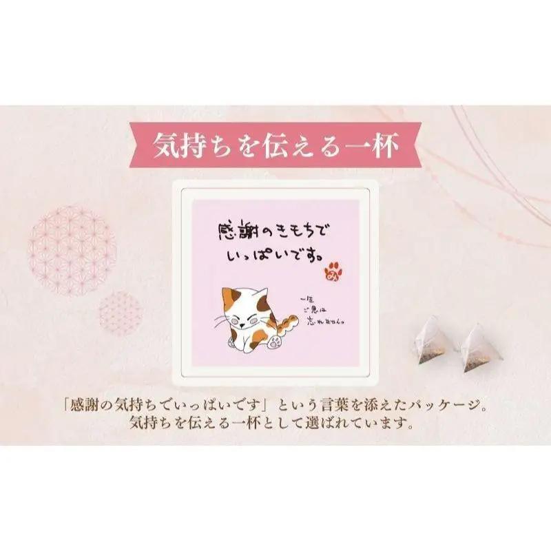 お茶 いしだ茶屋 みたらしちゃん 和紅茶 猫 お茶