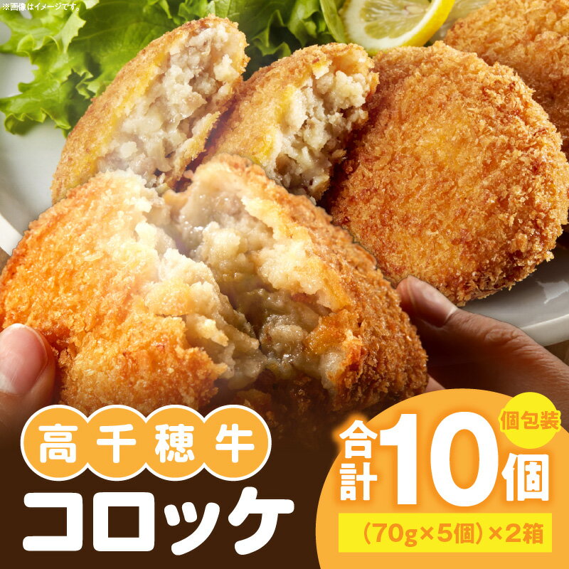 【ふるさと納税】高千穂牛 コロッケ 5個入り×2箱 合計10個 1個70g 牛肉コロッケ 牛肉 肉 お肉 肉料理 揚げ物 お惣菜 惣菜 おかず お弁当 小分け 個包装 パック 真空パック ブランド牛 黒毛和牛 和牛 お取り寄せ 人気 宮崎県 高千穂町 送料無料