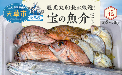 
S010-067_【魁光丸船長が厳選！】天草産 宝の魚介セット(約2～3kg)【花】
