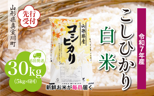 ＜令和7年産米先行受付＞ 真室川町産 こしひかり 【白米】 定期便 30kg （5kg×1ヶ月間隔で6回お届け）＜配送時期指定可＞