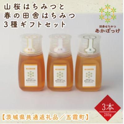 ふるさと納税 水戸市 山桜はちみつと春のはちみつの3種セット【B3山桜】【茨城県共通返礼品/五霞町】