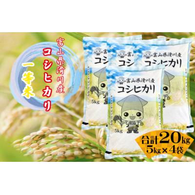 ふるさと納税 滑川市 滑川産コシヒカリ(令和7年産米/精米)20kg