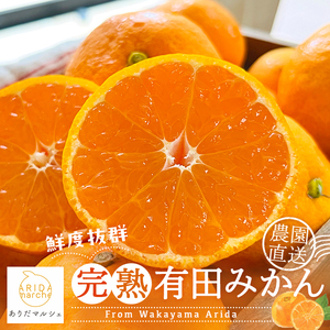 【11月発送】農園直送!完熟有田みかん 約3kg＋200g【サイズ混合】【ard002C-11】