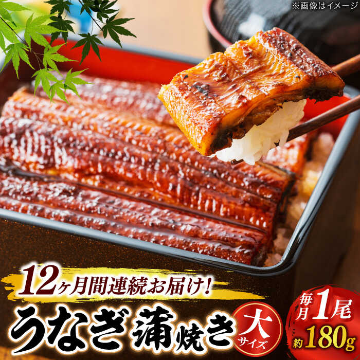 【ふるさと納税】【うなぎや】 【12回定期便】 炭火焼 うなぎの蒲焼き 1尾 【紀州備長炭使用】 鰻 ウナギ 丑の日　多治見市[TFO006]
