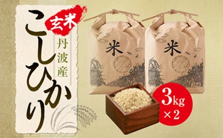【玄米・令和7年産】 丹波篠山産 こしひかり 玄米 （3kg×2袋 計6kg） 玄米 コシヒカリ Q003