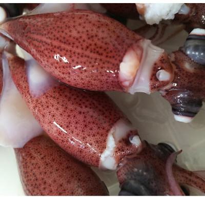 ふるさと納税 富山県 富山湾産ボイルほたるいか　230g×2(からし酢みそ付き) |  | 01