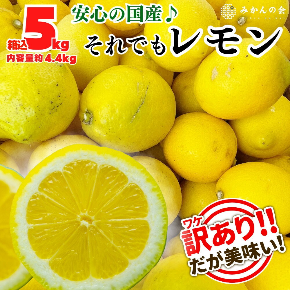 【ふるさと納税】訳あり レモン B品 箱込5kg(内容量約4.4kg) 和歌山県有田産（サイズミックス）【みかんの会】 | レモン 和歌山 野菜 檸檬 柑橘類 すっぱい 酸 秀品 有田 和歌山県 有田川町 ふるさと納税 返礼品 故郷納税