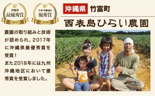 2025年 先行予約 スナックパイン 約7kg 10玉 西表島ひらい農園 パイナップル 果物 フルーツ パイン 約7kg 10玉