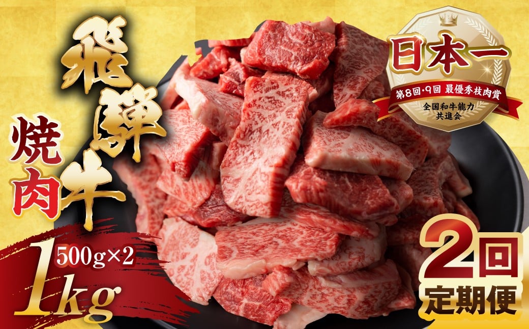 
            【定期便】訳あり 飛騨牛 焼肉 切り落とし 500g × 2 計 1kg 2回お届け定期便 | 牛肉 肉 切落し わけあり ぎゅうにく にく ひだぎゅう ひだうし 訳あり 商品 ワケアリ 不揃い 小分け 切り落とし きりおとし 小分け 冷凍 本巣市 トキノ屋 食品 訳有 焼肉セット 焼肉用
          
