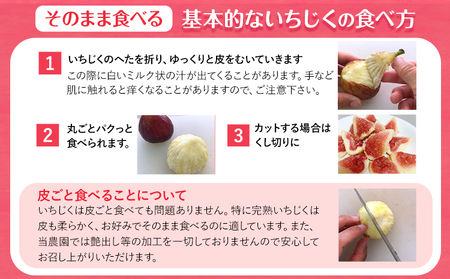 ご家庭用朝採り完熟いちじく 約1kg 