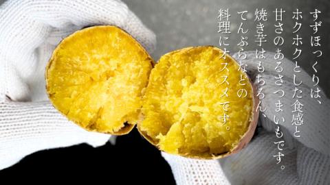 【2023年11月発送 先行予約】 すずほっくり 約10kg 【茨城県共通返礼品／行方市】 渋谷農園 さつまいも  いも 芋 焼芋 [DT006sa]