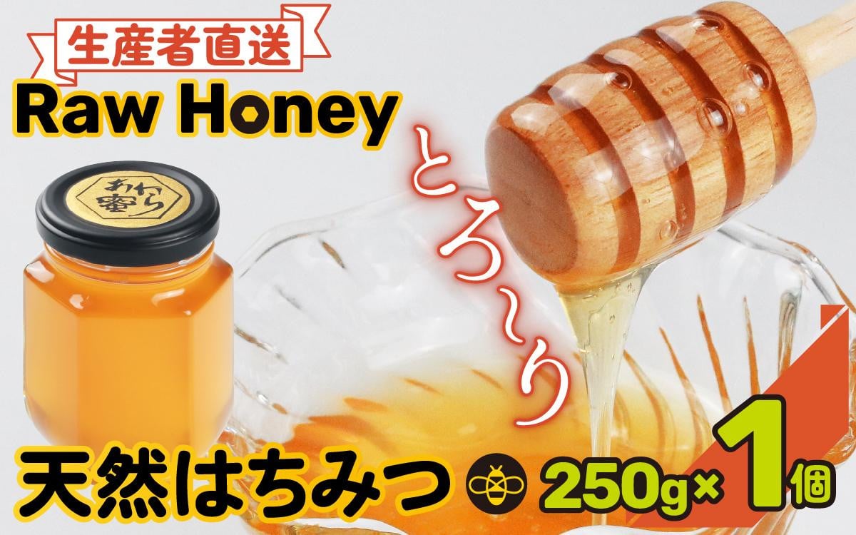 
            【天然はちみつ】 raw honey あわら蜜 1個 / 非加熱 生産者直送 蜂蜜 ミツバチ 純はちみつ ローヤルゼリー 生はちみつ みつばち
          