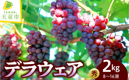 ぶどう デラウエア 約 2kg フルーツ 果物 山形 ブドウ