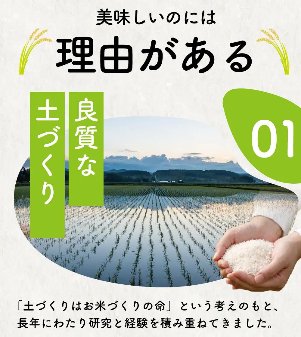 新米【9月以降発送】コシヒカリ10kg｜新米