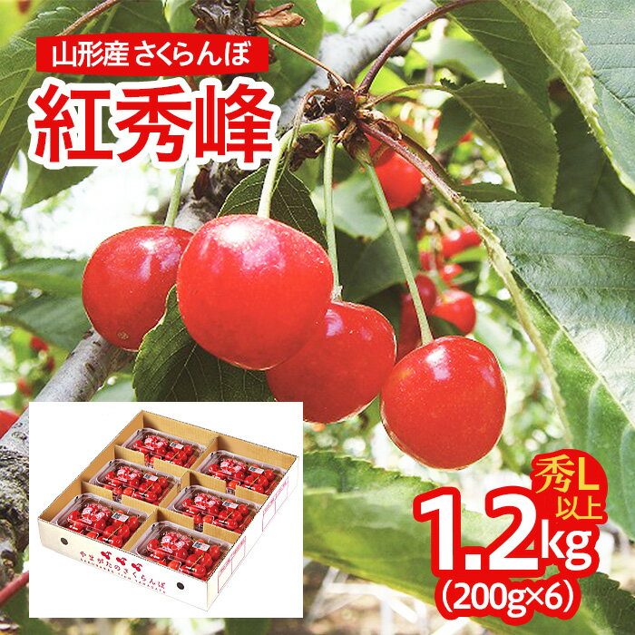 【ふるさと納税】山形産 さくらんぼ(紅秀峰) L以上 1.2kg(200g×6パック) 【令和7年産先行予約】FU21-677 フルーツ くだもの 果物 お取り寄せ 先行予約