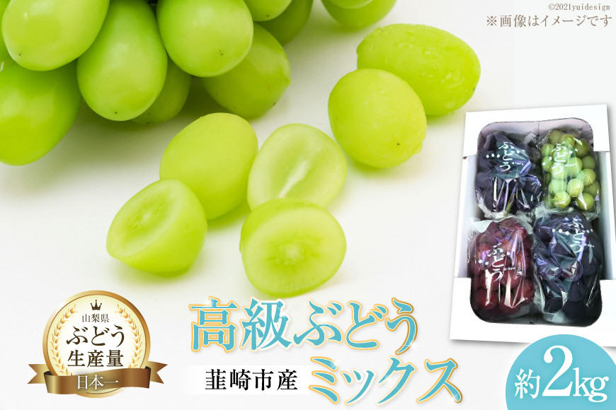 
                  【2025年発送】ぶどう 先行予約 高級 ミックス（シャイン入り）おまかせ  食べ比べ 約 2kg 山梨 山梨 ブドウ 葡萄 マスカット 種なし 果物 フルーツ 2キロ 山梨県産 産地直送 期間限定 季節限定 冷蔵[フルーツランド平賀 山梨県 韮崎市 20742832]
                