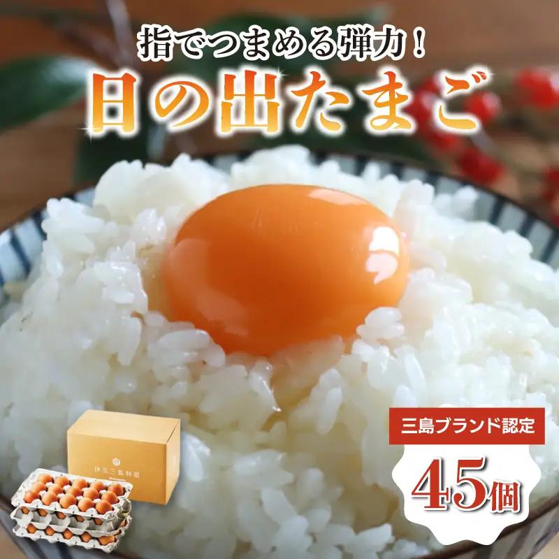 日の出たまご 45個  卵  三島ブランド たまご 