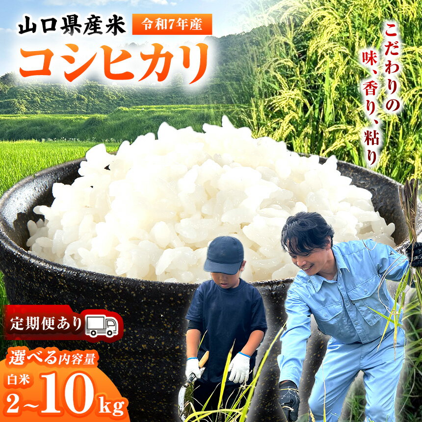 【ふるさと納税】令和7年産 山口県産米 コシヒカリ 選べる内容量 / 定期便 （ 2kg ～ 10kg ）1回 / 定期便2 ~ 3回 ｜ 令和7年産 コシヒカリ 山口県産米 こめ お米 コメ 白米 山口県 平生町 2kg 5kg 10kg