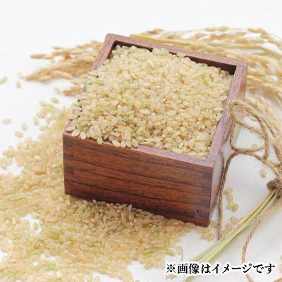 ふるさと納税 取手市 取手市産　コシヒカリ　玄米30kg |  | 02