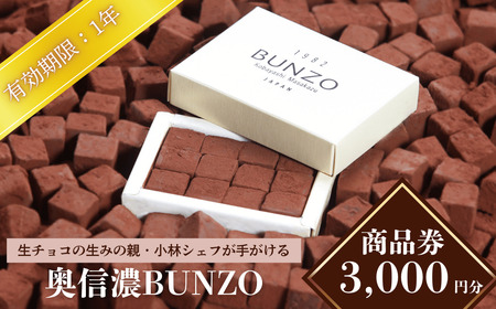 チョコレートショップ【奥信濃Bunzo】 商品券3,000円 （T-10） チョコレート