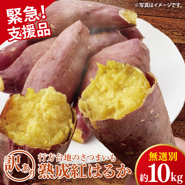 【緊急支援品】★訳あり★ 無選別 行方台地のさつまいも 熟成紅はるか 約10kg（洗い）｜さつまいも 芋 サツマイモ 紅はるか 数量限定 訳あり わけあり 無選別 熟成 茨城県 行方市(CU-326-1)
