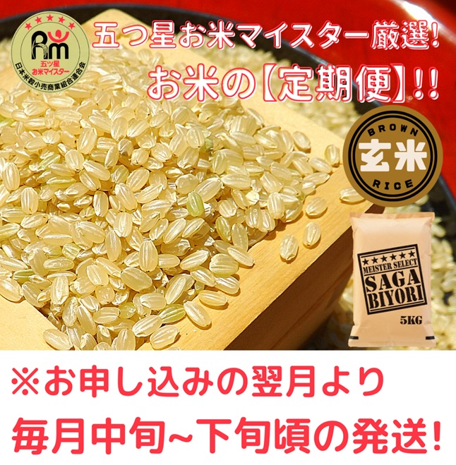 CI751_【玄米】さがびより１０kg（５kg×２袋）【５回定期便
