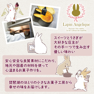 ひこにゃん カステラ 2種セット 彦根