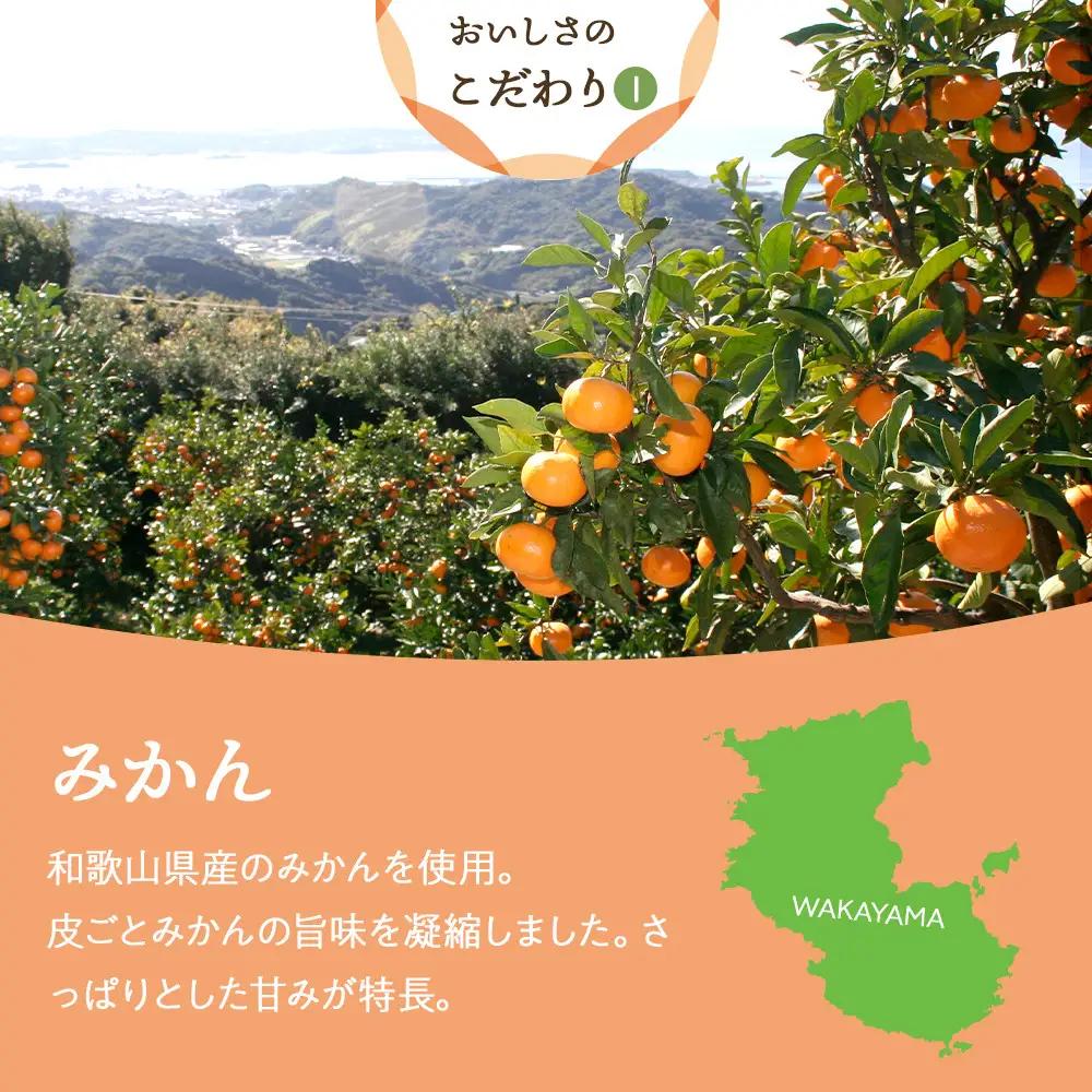 和歌山県産 ドライフルーツ みかん 22g×6袋
