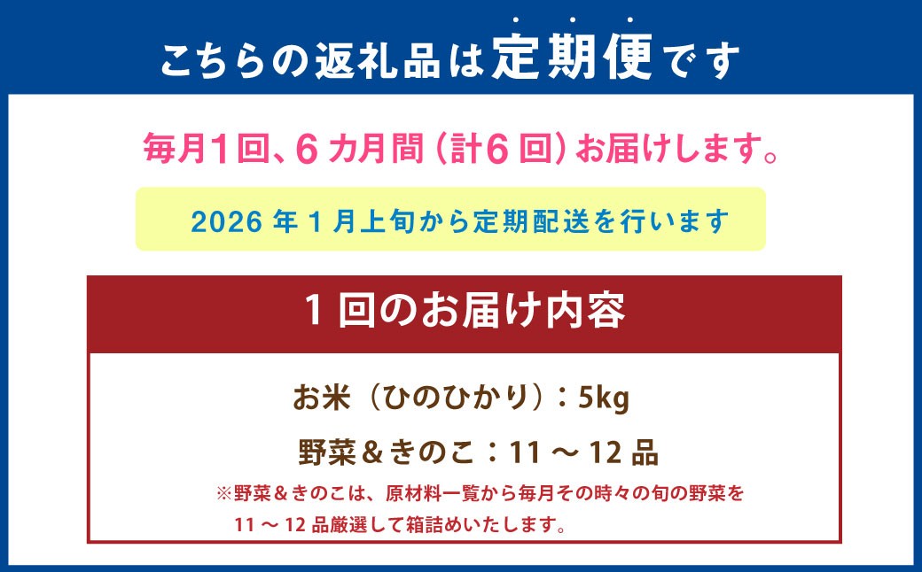 【6ヶ月連続定期便】 【令和7年度産】  熊本県（七城）産のお米と熊本県産の野菜ときのこ お米（5kg）・野菜＆きのこ