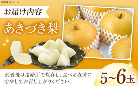 稲田ペアファームのあきづき梨 5～6玉 〈2026年9月～発送〉 ／ フルーツ 果物 くだもの 食品 人気 おすすめ 送料無料 梨 なし 秋月 人気 甘い デザート 贈り物 果汁 【株式会社内子フレッ