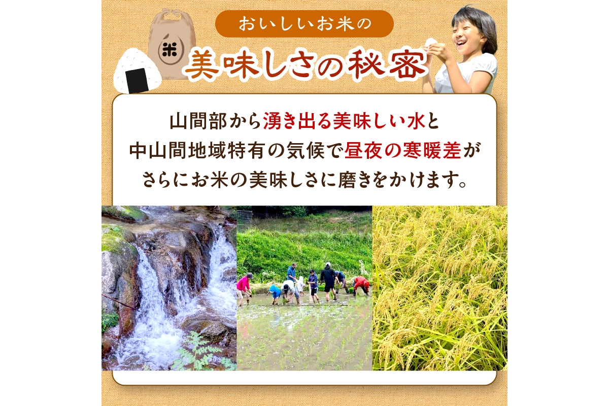 京都・久美浜産 特別栽培米コシヒカリ 1.5kg　AL00001