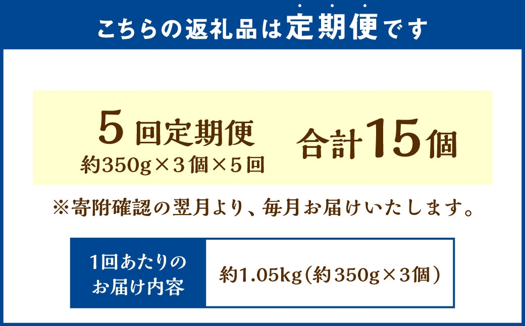 【5回定期便】北海道フロマージュ3種セット（プレーン・アップル・メロン） 約1.05kg（約350g×3個）