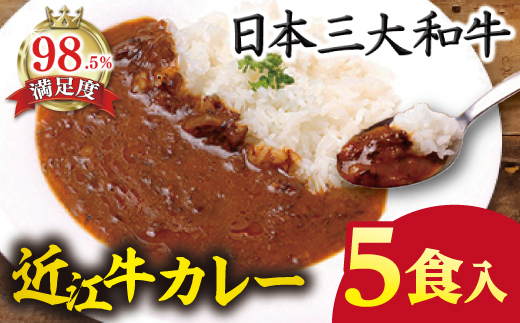 近江牛カレー（200ｇ×5パック）【AB77W】