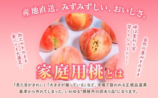 ◆2026年夏発送◆＜産直・家庭用桃・約5kg＞ ※北海道・沖縄・離島への配送不可 ※2026年7月上旬～9月上旬頃に順次発送予定