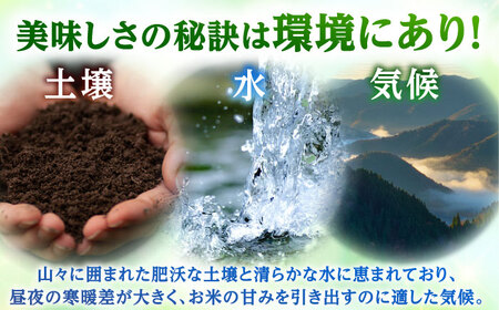 【定期便2回】 【先行予約/9月以降発送】　【令和7年産】 福井県産こしひかり 精米 5kg 小浜市 / シマダ農園[BFAV009]