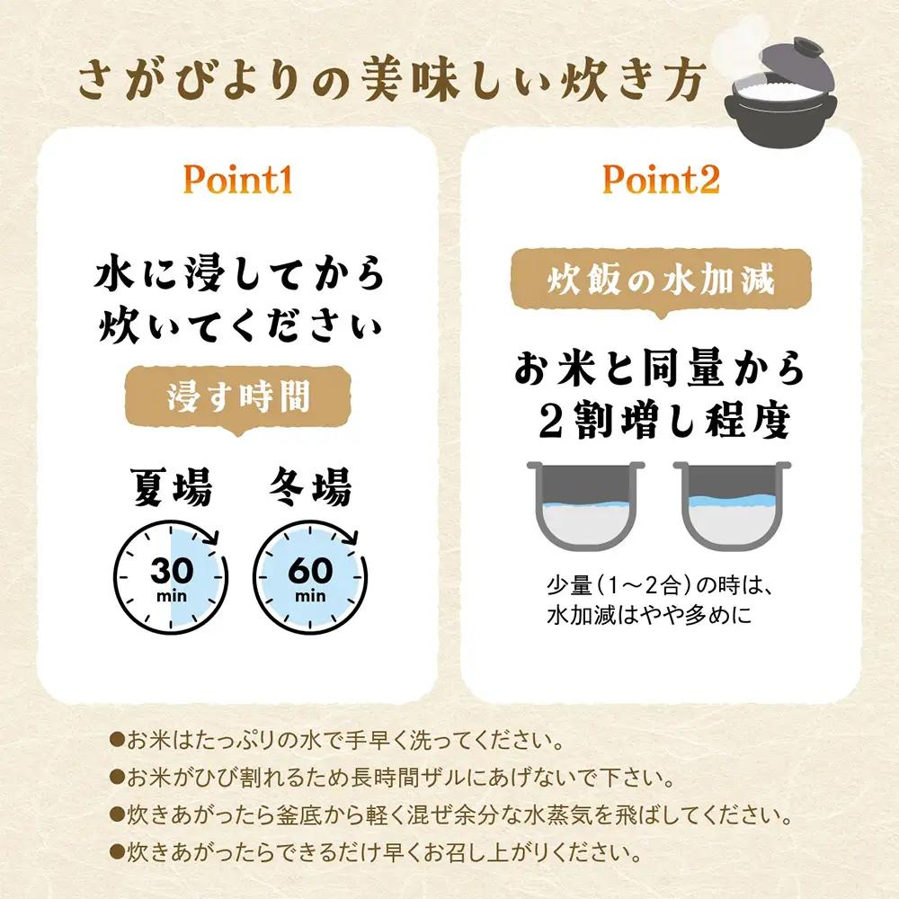 無洗米 さがびより 30kg 定期便 12回（12か月） 佐賀県産 V-37 合計360kg お米 白米 精米