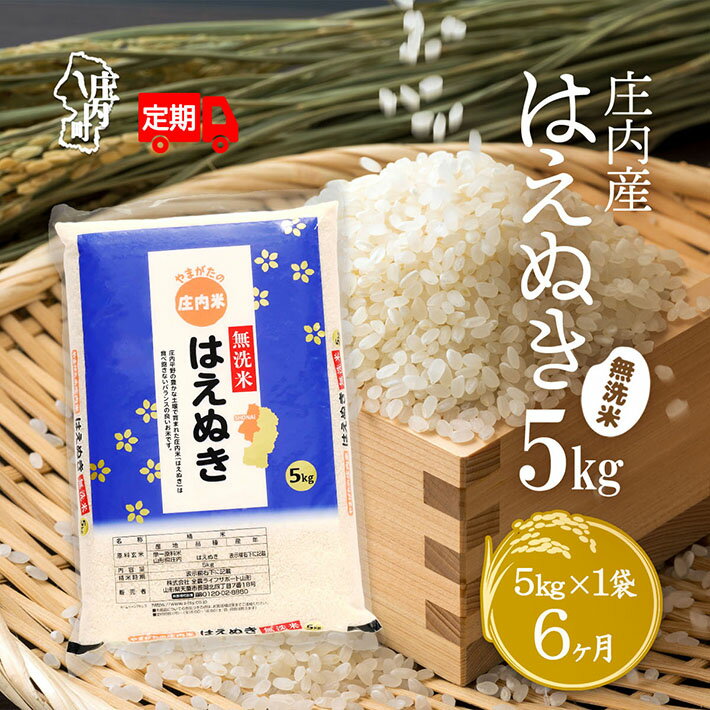 【ふるさと納税】＜10月中旬発送＞庄内米6か月定期便！はえぬき無洗米 5kg（入金期限：2025.9.25）無洗米 ふるさと納税 米 定期便 山形県 新米受付 新米