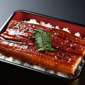 【 定期便3回 】 うなぎ と かつおのたたき 食べ比べセット