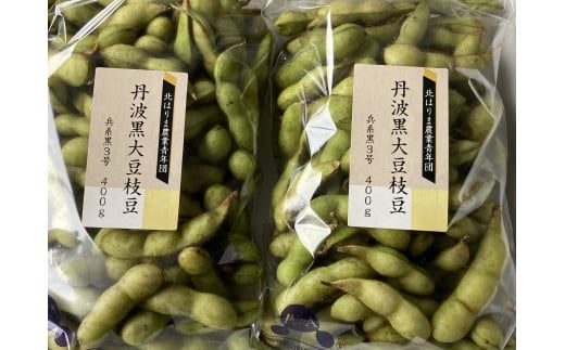 【季節限定】丹波黒大豆枝豆 朝収穫 毛取り洗浄済 さやのみ 2.4kg  化粧箱入り [963] 発送は2024年10月15日以降